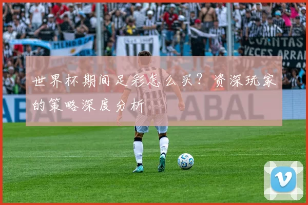 世界杯期间足彩怎么买？资深玩家的策略深度分析