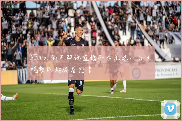 NBA大伯子解说直播平台汇总,各大视频网站观看指南