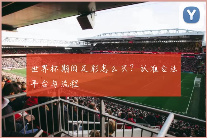 世界杯期间足彩怎么买?认准合法平台与流程