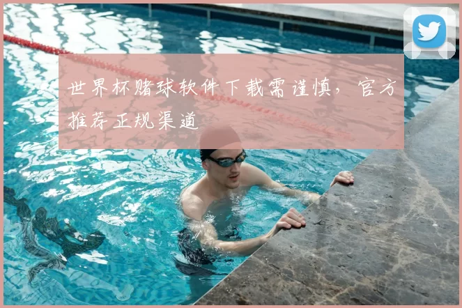 世界杯赌球软件下载需谨慎，官方推荐正规渠道
