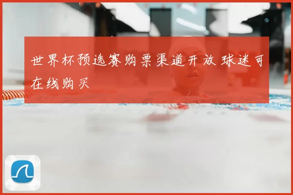 世界杯预选赛购票渠道开放 球迷可在线购买