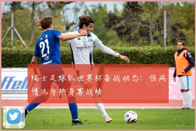 瑞士足球队世界杯备战动态:伤病情况与热身赛战绩