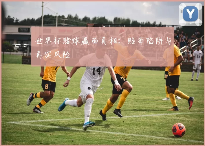 世界杯赌球赢面真相:赔率陷阱与真实风险
