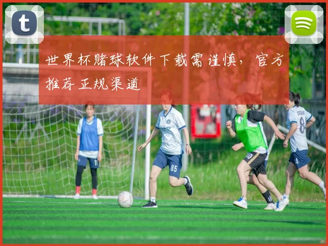 世界杯赌球软件下载需谨慎,官方推荐正规渠道