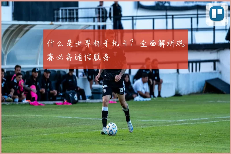 什么是世界杯手机卡？全面解析观赛必备通信服务