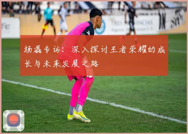 杨磊专访：深入探讨王者荣耀的成长与未来发展之路
