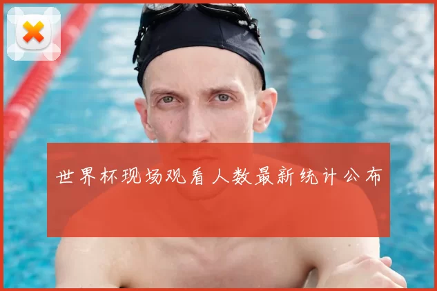 世界杯现场观看人数最新统计公布