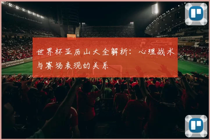 世界杯亚历山大全解析：心理战术与赛场表现的关系